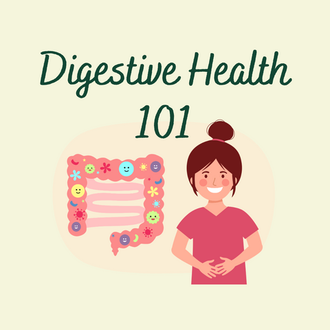 Digestive Health 101: Everything You Need to Know to Feel Your Best