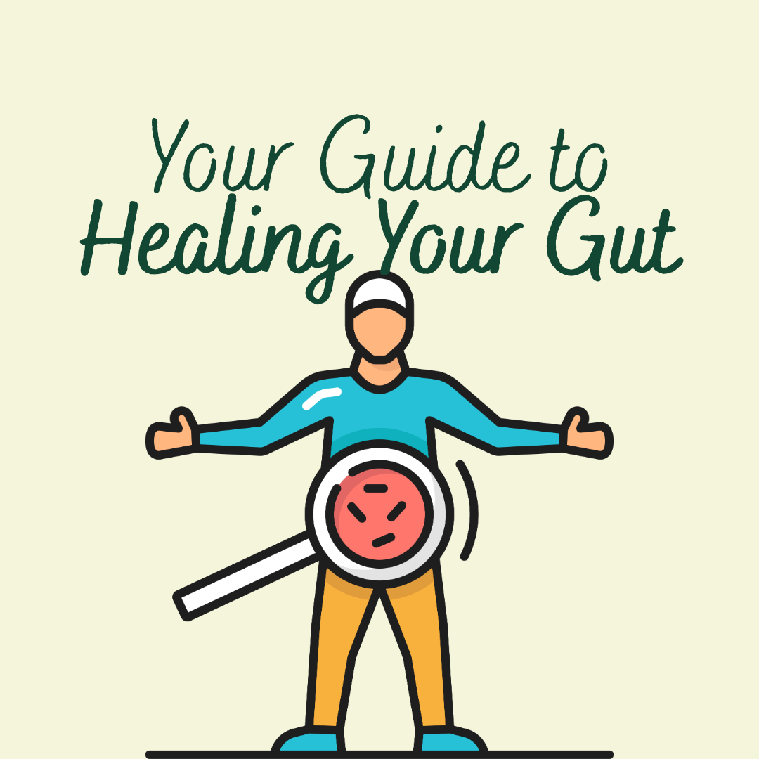 Your Guide to Healing Your Gut