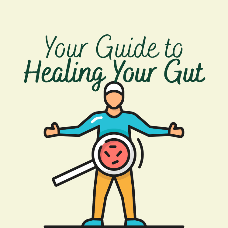 Your Guide to Healing Your Gut – Macánta Nutrition