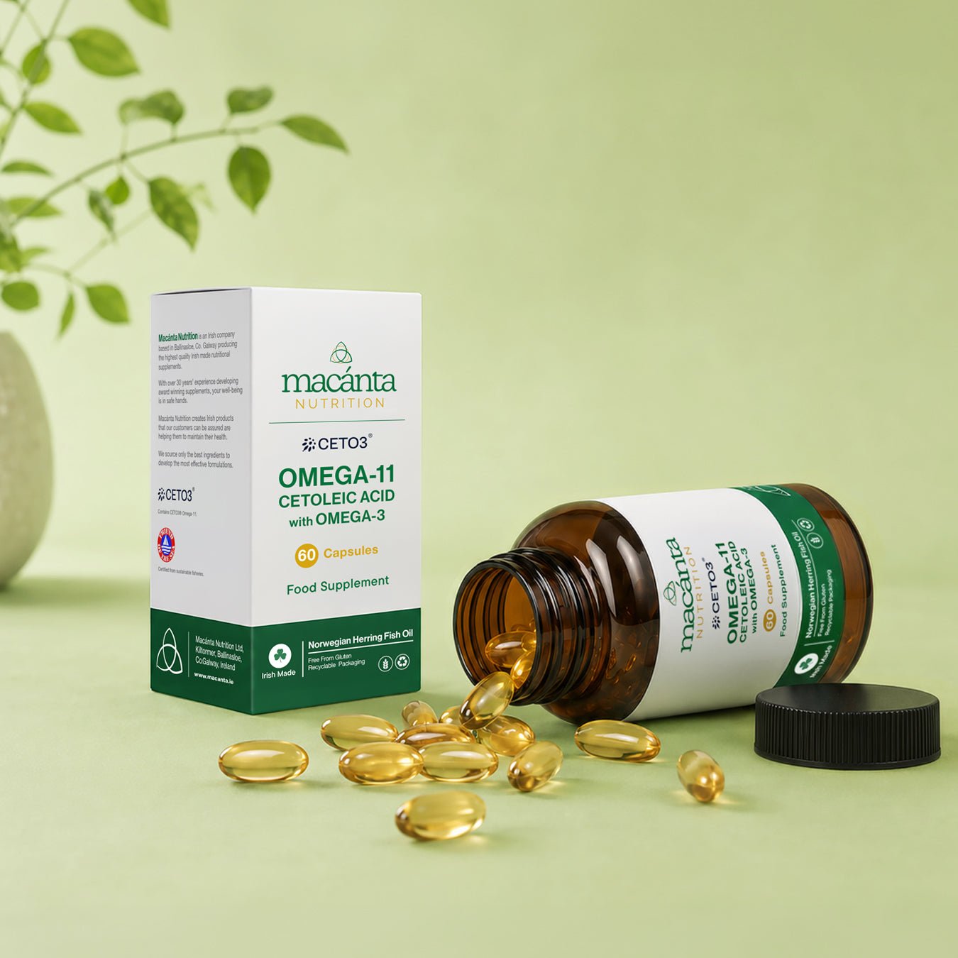 CETO3® Omega-11 Fish Oil - Macánta Nutrition