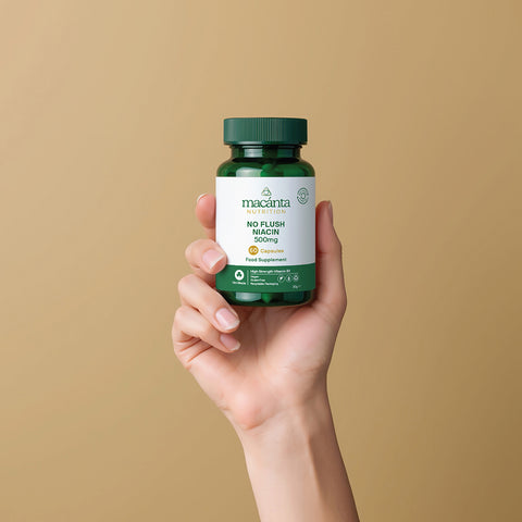 No Flush Niacin 500mg