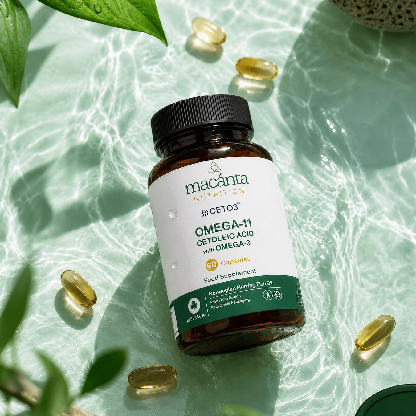 CETO3® Omega-11 Fish Oil